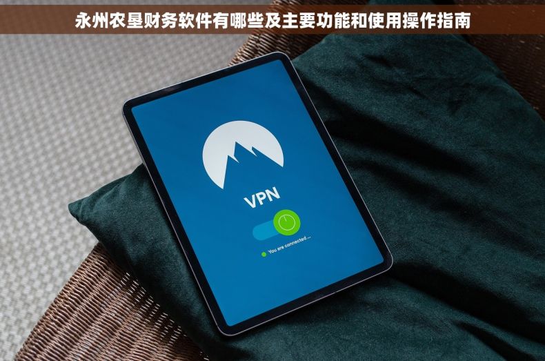 永州农垦财务软件有哪些及主要功能和使用操作指南