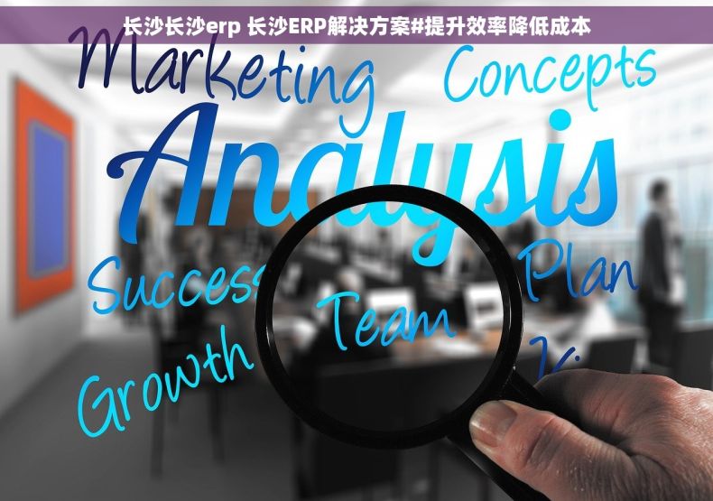 长沙长沙erp 长沙ERP解决方案#提升效率降低成本