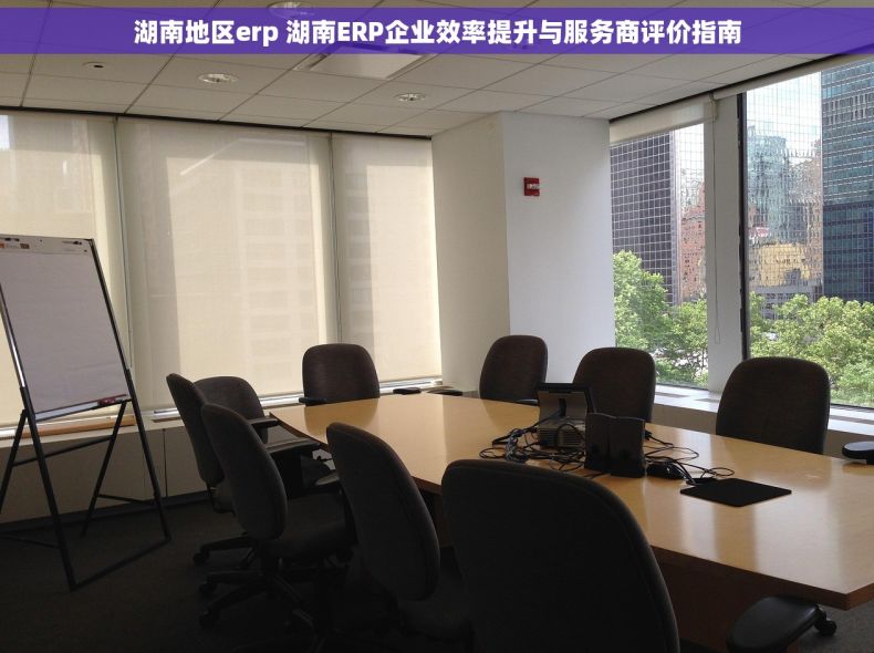 湖南地区erp 湖南ERP企业效率提升与服务商评价指南