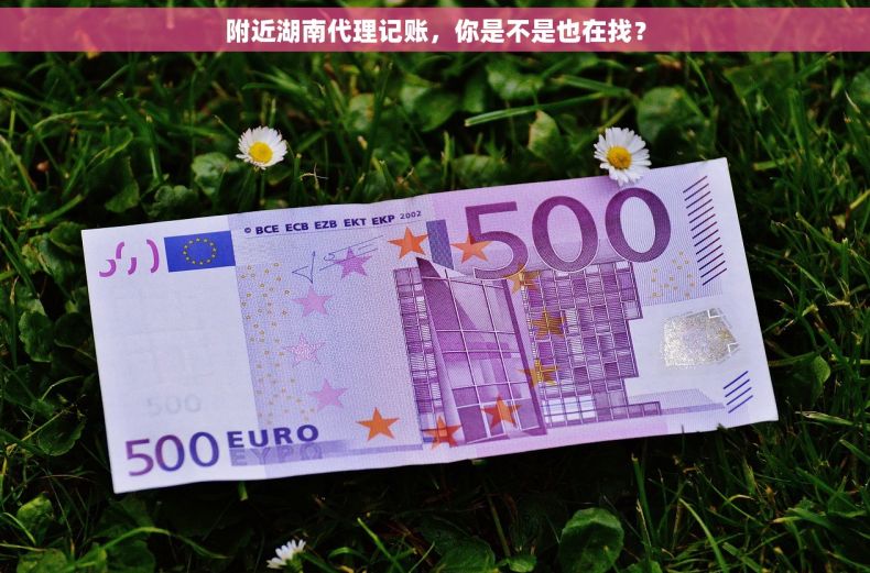 附近湖南代理记账,你是不是也在找? 附近湖南代理记账,你是不是也在找?