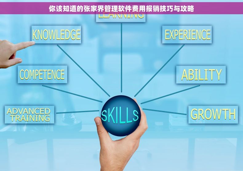 你该知道的张家界管理软件费用报销技巧与攻略