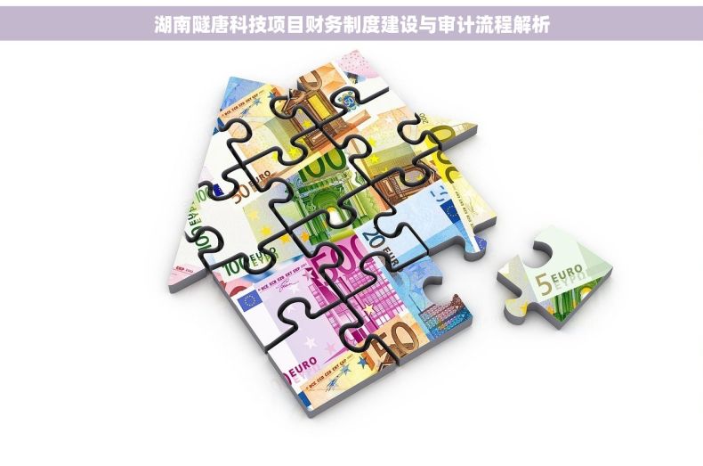 湖南隧唐科技项目财务制度建设与审计流程解析