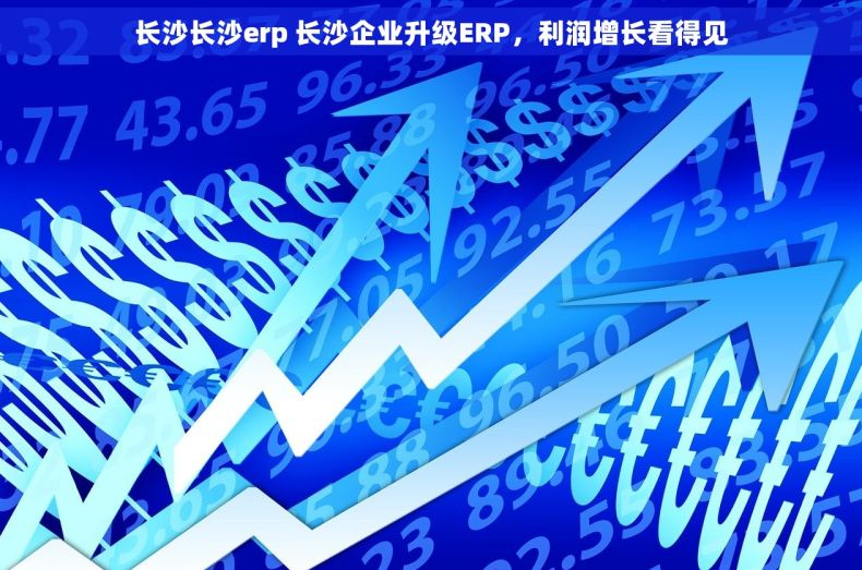 长沙长沙erp 长沙企业升级ERP，利润增长看得见