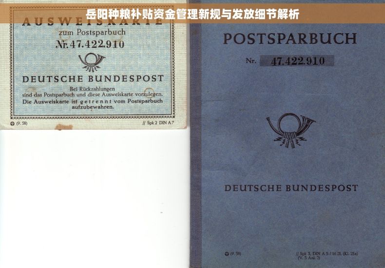 岳阳种粮补贴资金管理新规与发放细节解析 岳阳种粮补贴资金管理新规与发放细节解析