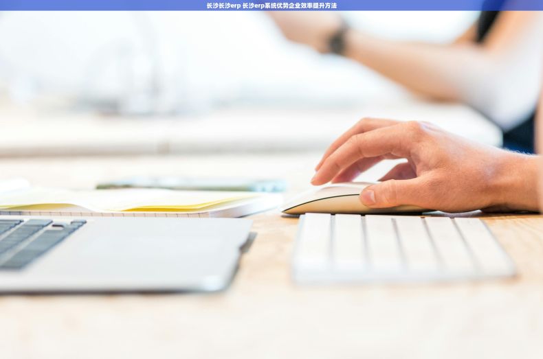 长沙长沙erp 长沙erp系统优势企业效率提升方法