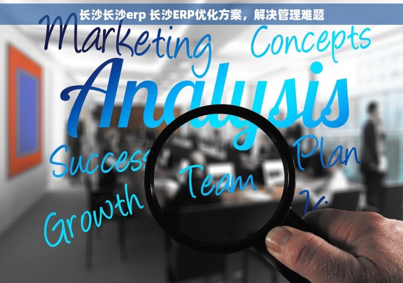 长沙长沙erp 长沙ERP优化方案，解决管理难题
