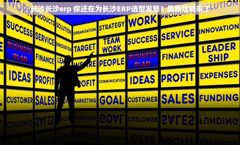 长沙长沙erp 你还在为长沙ERP选型发愁？最新攻略来了