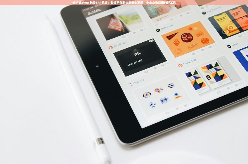 长沙长沙erp 长沙ERP系统：老板不在家也能安心掌控，小企业也能用的好工具