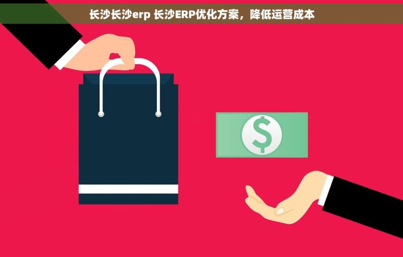 长沙长沙erp 长沙ERP优化方案，降低运营成本