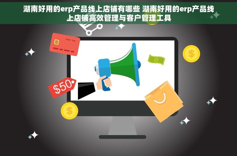 湖南好用的erp产品线上店铺有哪些 湖南好用的erp产品线上店铺高效管理与客户管理工具