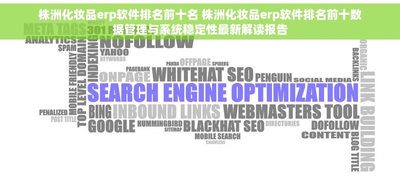 株洲化妆品erp软件排名前十名 株洲化妆品erp软件排名前十数据管理与系统稳定性最新解读报告