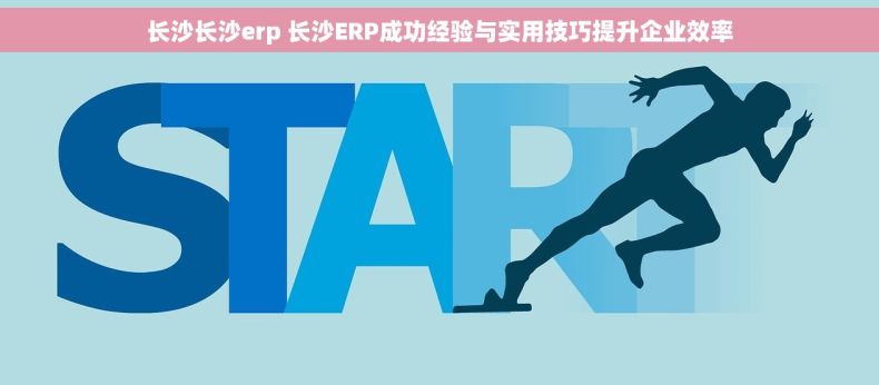 长沙长沙erp 长沙ERP成功经验与实用技巧提升企业效率 长沙长沙erp 长沙ERP成功经验与实用技巧提升企业效率