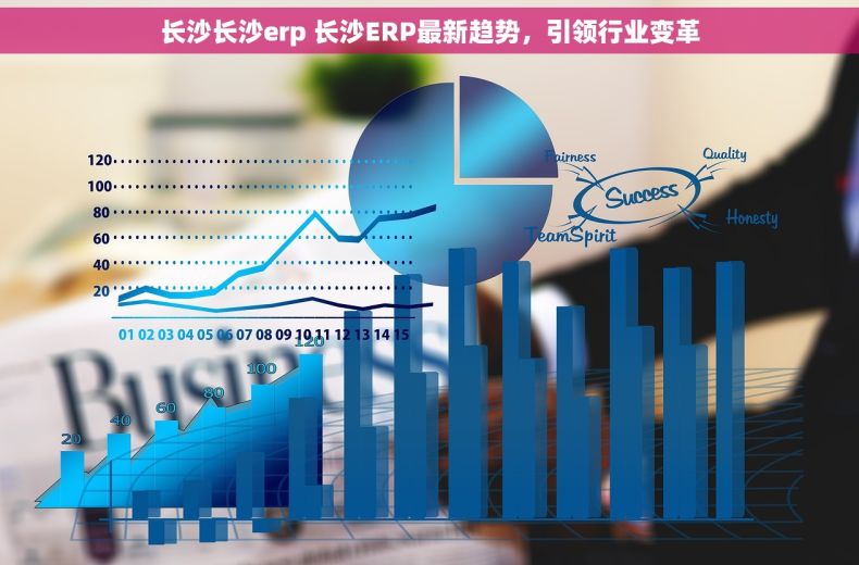 长沙长沙erp 长沙ERP最新趋势，引领行业变革