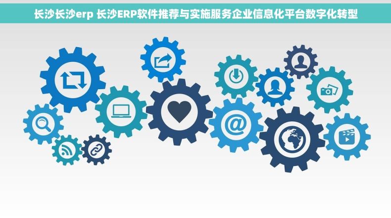 长沙长沙erp 长沙ERP软件推荐与实施服务企业信息化平台数字化转型