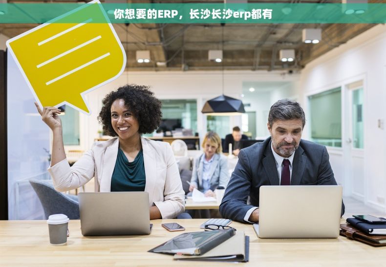 你想要的ERP，长沙长沙erp都有