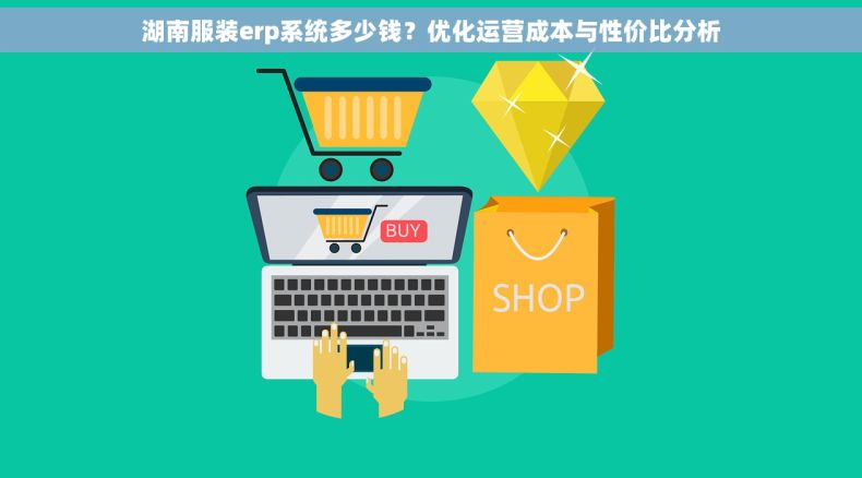 湖南服装erp系统多少钱？优化运营成本与性价比分析