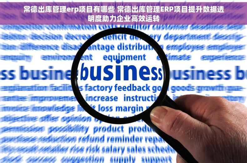 常德出库管理erp项目有哪些 常德出库管理ERP项目提升数据透明度助力企业高效运转