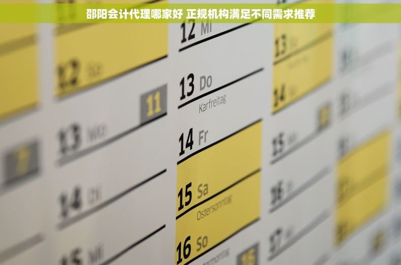 邵阳会计代理哪家好 正规机构满足不同需求推荐