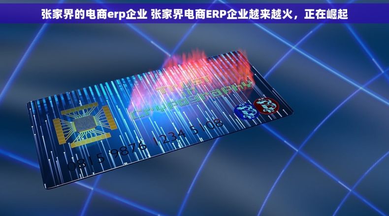 张家界的电商erp企业 张家界电商ERP企业越来越火，正在崛起