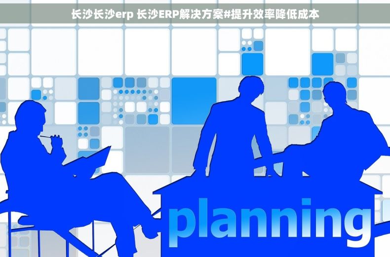 长沙长沙erp 长沙ERP解决方案#提升效率降低成本