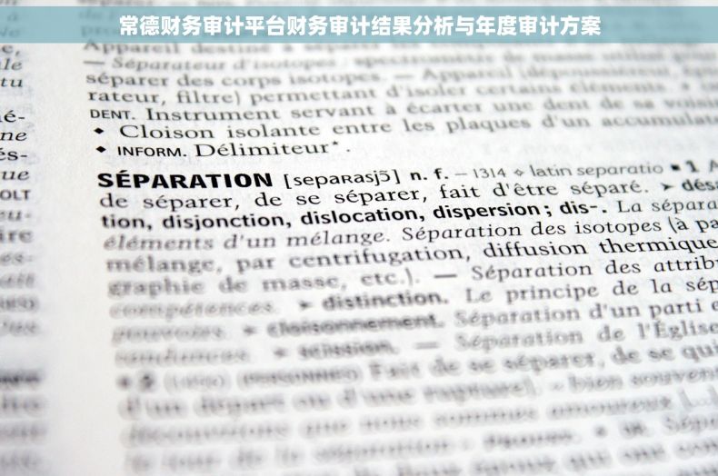 常德财务审计平台财务审计结果分析与年度审计方案