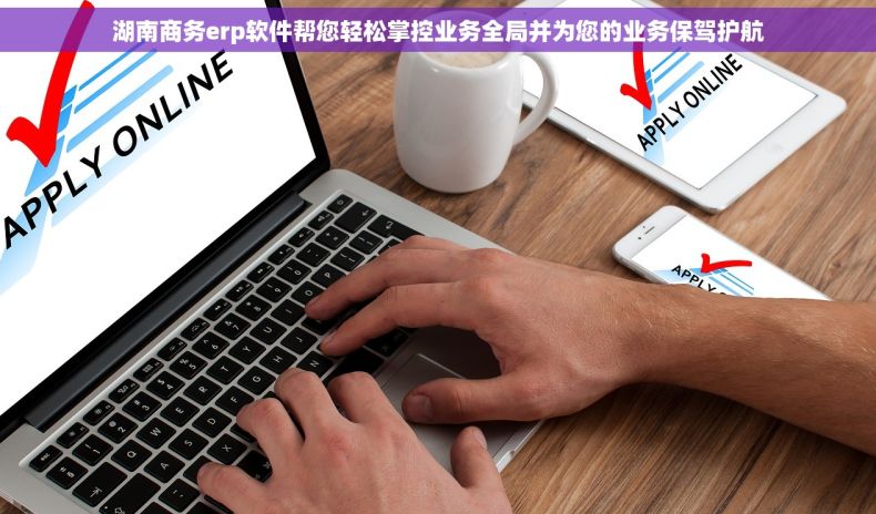 湖南商务erp软件帮您轻松掌控业务全局并为您的业务保驾护航 湖南商务erp软件帮您轻松掌控业务全局并为您的业务保驾护航