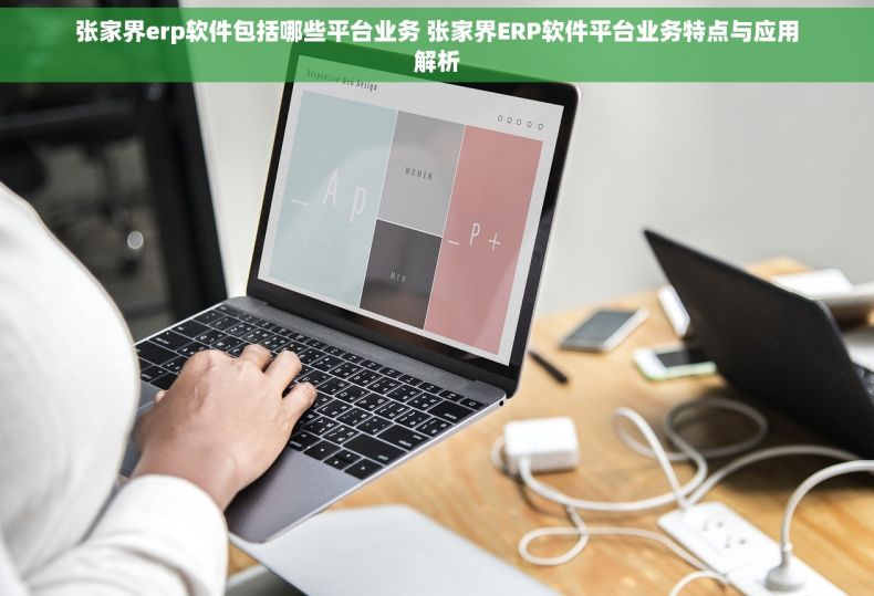 张家界erp软件包括哪些平台业务 张家界ERP软件平台业务特点与应用解析