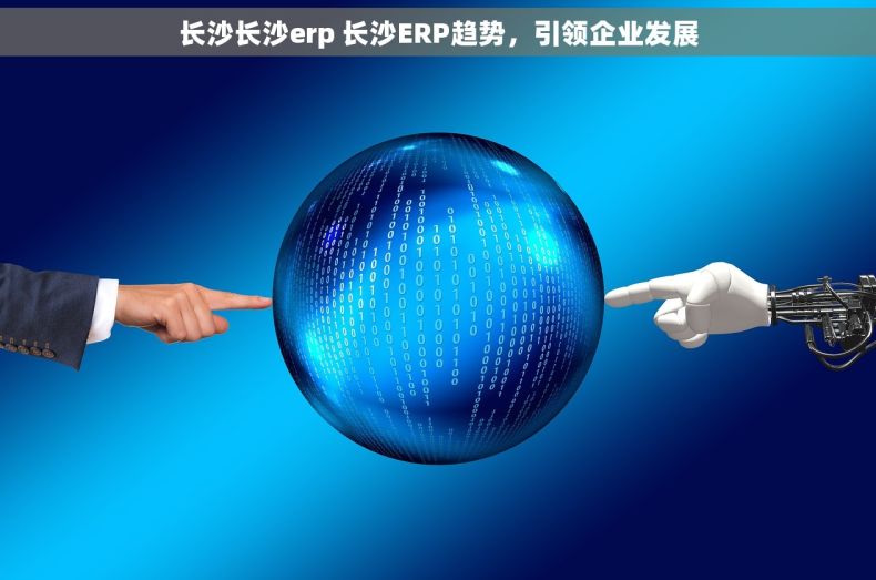长沙长沙erp 长沙ERP趋势，引领企业发展
