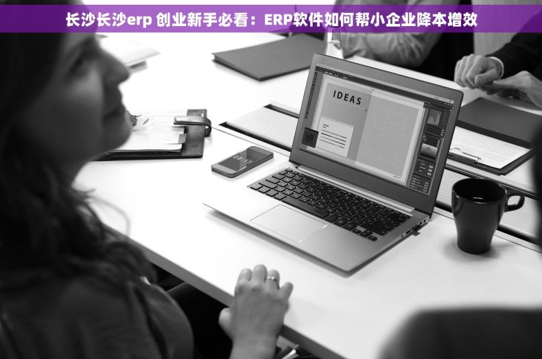 长沙长沙erp 创业新手必看：ERP软件如何帮小企业降本增效