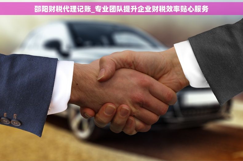 邵阳财税代理记账_专业团队提升企业财税效率贴心服务