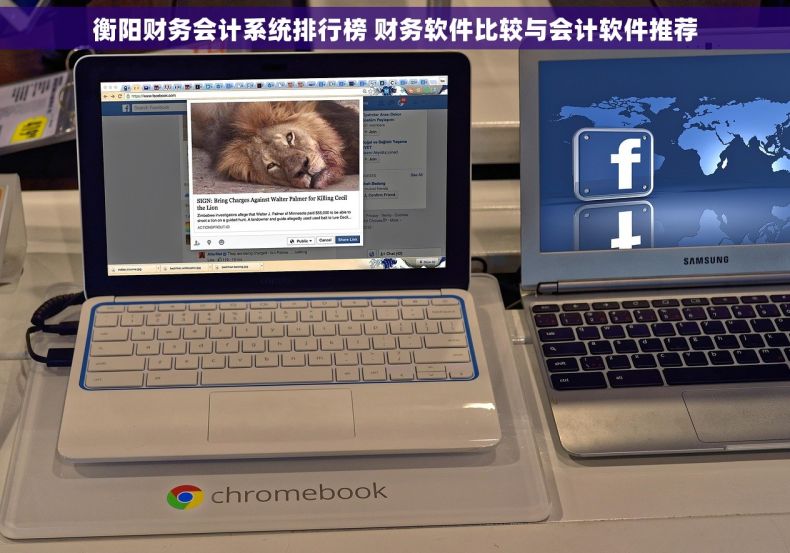 衡阳财务会计系统排行榜 财务软件比较与会计软件推荐 衡阳财务会计系统排行榜 财务软件比较与会计软件推荐