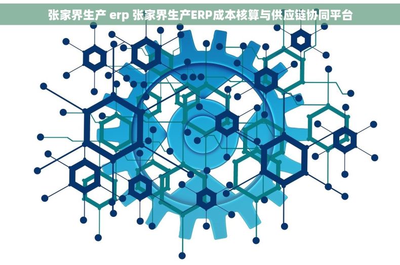 张家界生产 erp 张家界生产ERP成本核算与供应链协同平台