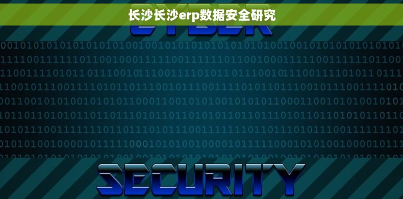 长沙长沙erp数据安全研究 长沙长沙erp数据安全研究