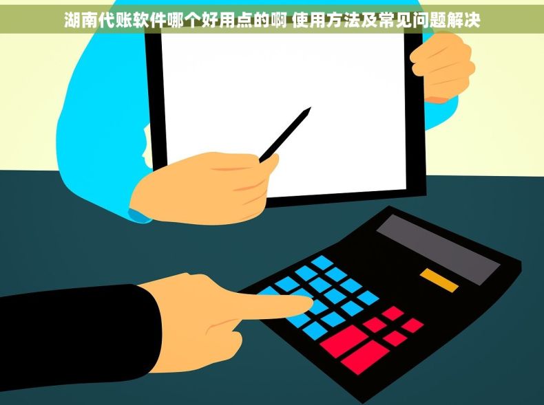 湖南代账软件哪个好用点的啊 使用方法及常见问题解决