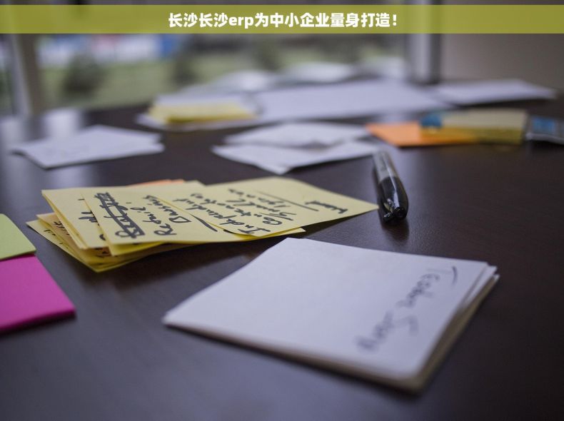 长沙长沙erp为中小企业量身打造! 长沙长沙erp为中小企业量身打造!