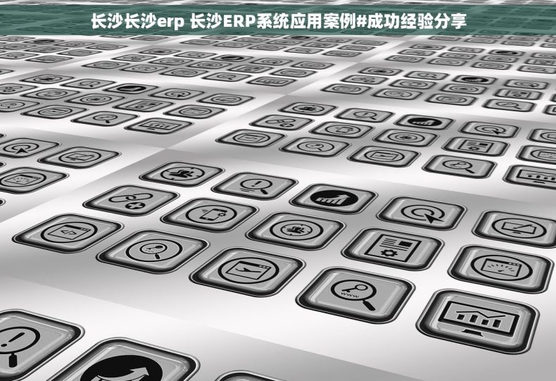 长沙长沙erp 长沙ERP系统应用案例#成功经验分享 长沙长沙erp 长沙ERP系统应用案例#成功经验分享