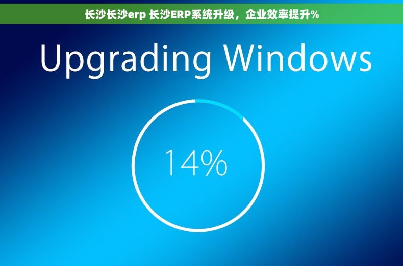 长沙长沙erp 长沙ERP系统升级，企业效率提升%