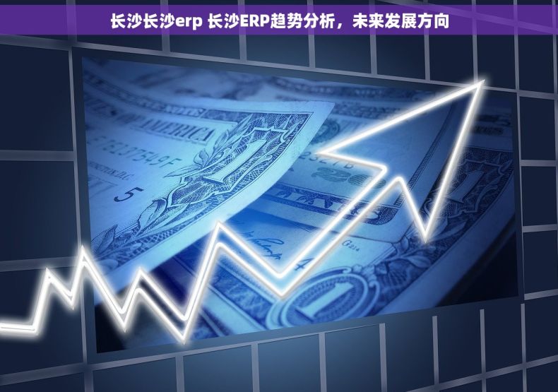 长沙长沙erp 长沙ERP趋势分析，未来发展方向