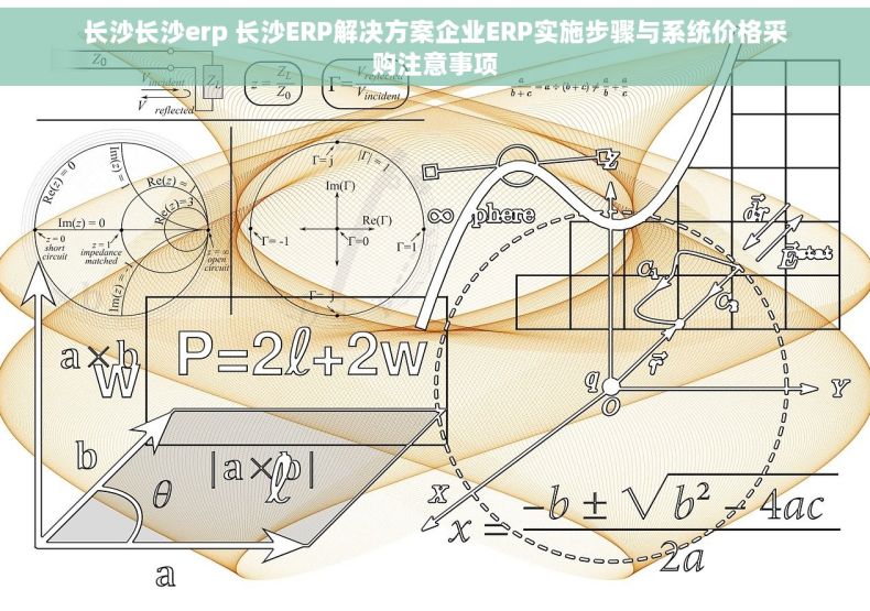 长沙长沙erp 长沙ERP解决方案企业ERP实施步骤与系统价格采购注意事项
