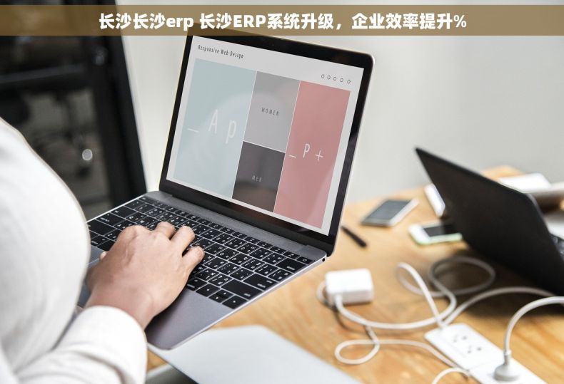 长沙长沙erp 长沙ERP系统升级，企业效率提升%