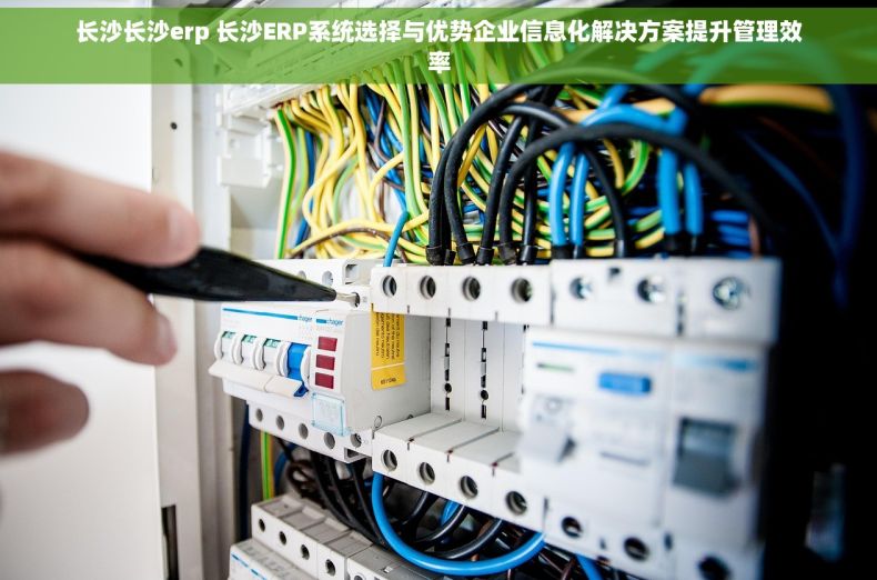 长沙长沙erp 长沙ERP系统选择与优势企业信息化解决方案提升管理效率