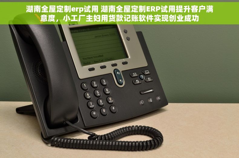 湖南全屋定制erp试用 湖南全屋定制ERP试用提升客户满意度，小工厂主妇用货款记账软件实现创业成功