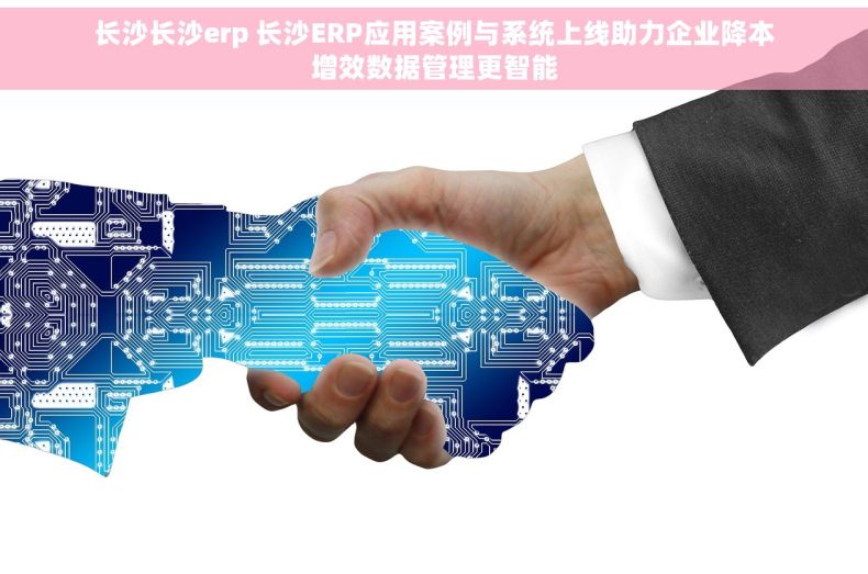 长沙长沙erp 长沙ERP应用案例与系统上线助力企业降本增效数据管理更智能