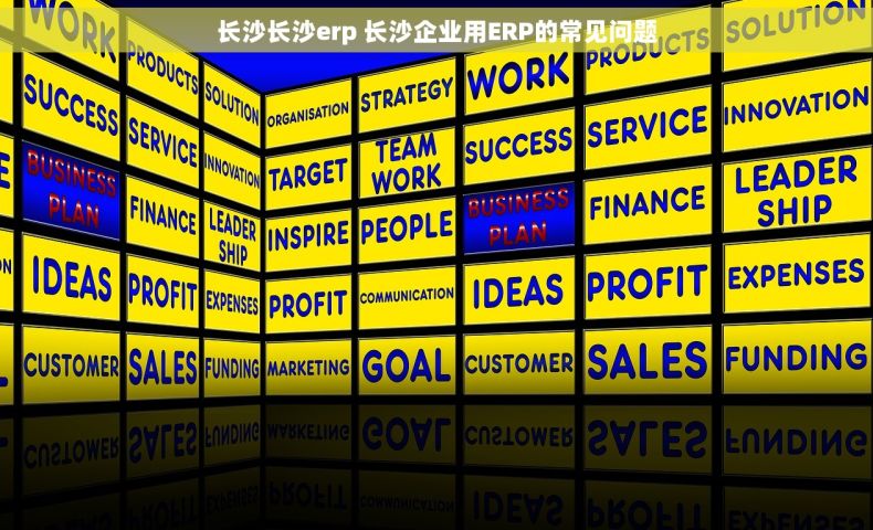 长沙长沙erp 长沙企业用ERP的常见问题