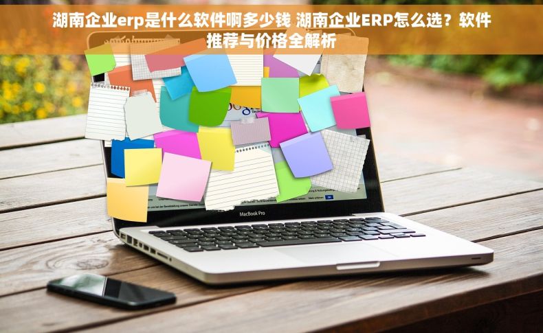 湖南企业erp是什么软件啊多少钱 湖南企业ERP怎么选？软件推荐与价格全解析