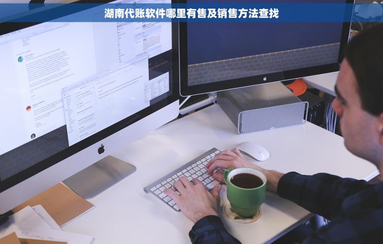 湖南代账软件哪里有售及销售方法查找
