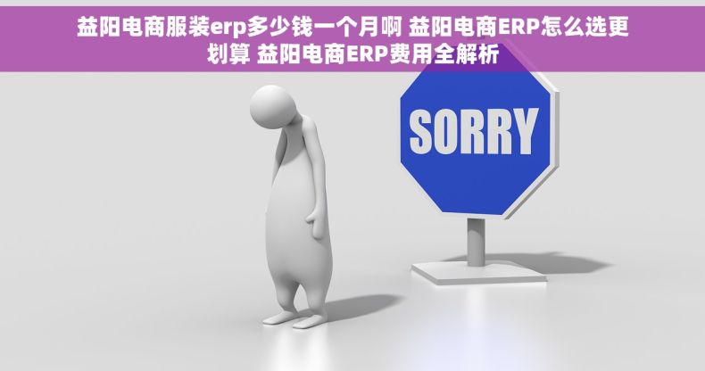 益阳电商服装erp多少钱一个月啊 益阳电商ERP怎么选更划算 益阳电商ERP费用全解析