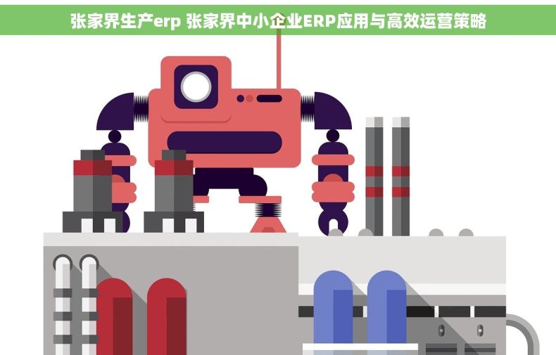 张家界生产erp 张家界中小企业ERP应用与高效运营策略