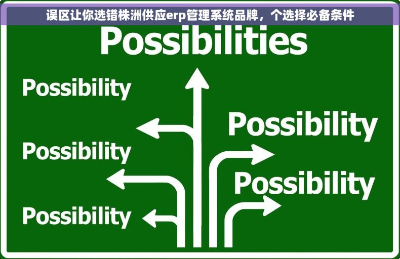 误区让你选错株洲供应erp管理系统品牌，个选择必备条件