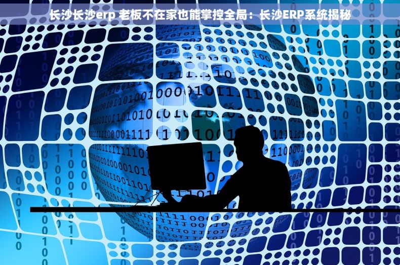 长沙长沙erp 老板不在家也能掌控全局：长沙ERP系统揭秘